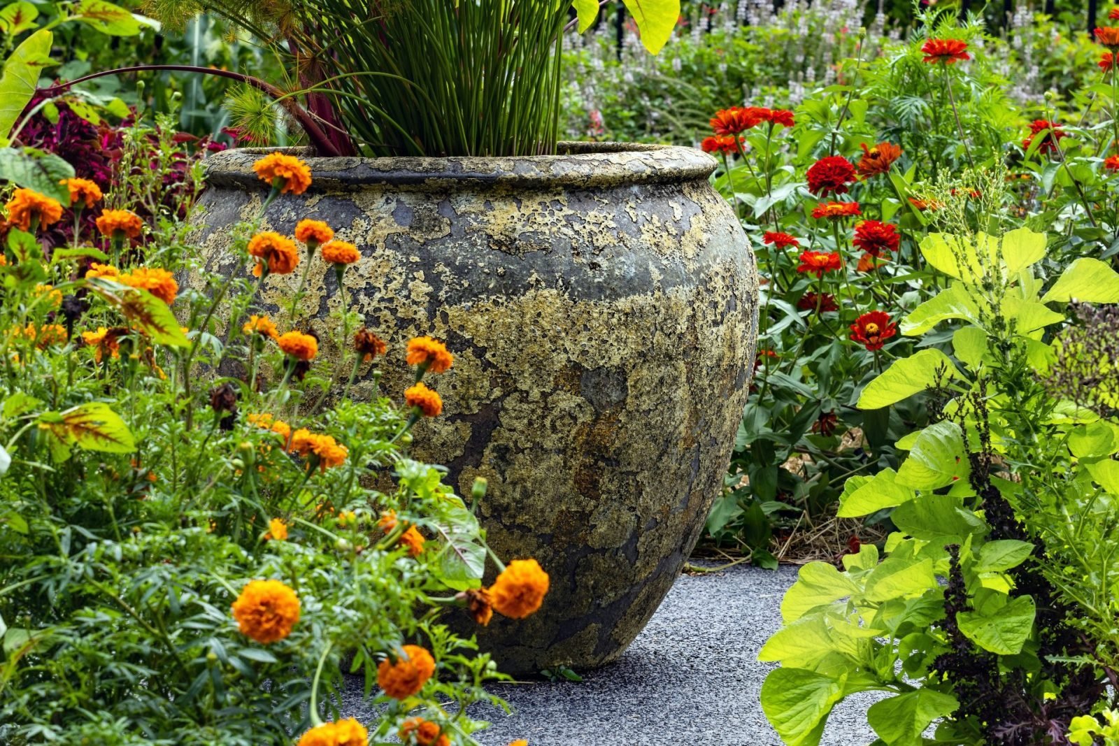 Hochwertig gestalteter Garten von GLF